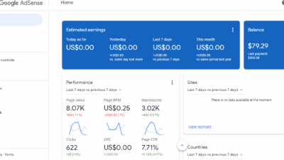 Iklan Google AdSense Tidak Muncul di Blog?